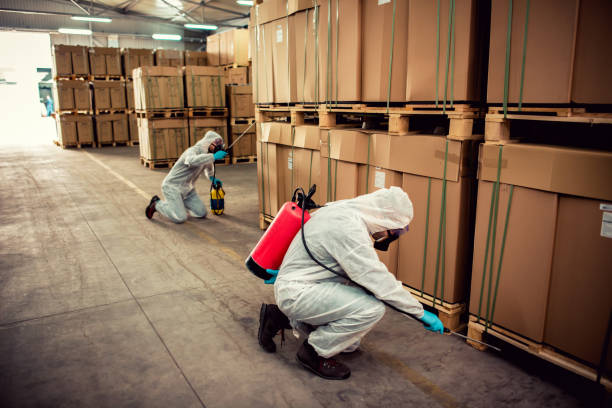 Best Ant Control Services  in Pine Bush, NY
