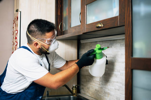 Best Commercial Pest Control Services  in Pine Bush, NY