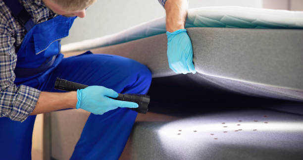 Best Cockroach Control Services  in Pine Bush, NY