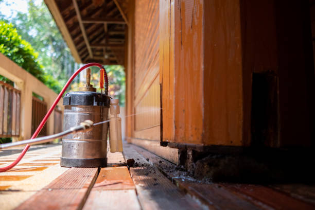 Best Cockroach Control Services  in Pine Bush, NY
