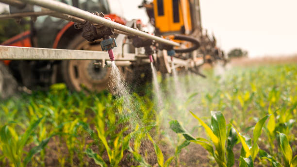 Best Pest Control Cost  in Pine Bush, NY
